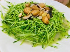 -老乡村美食农庄