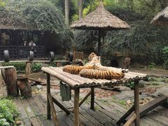 -广州长隆野生动物世界