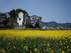 -新安江山水画廊风景区