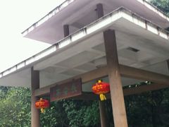 -黄埔荔枝公园