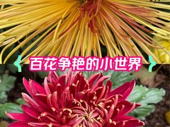 -汇龙潭