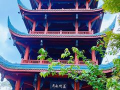 -文瀛公园