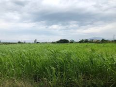 -鹿境梅花鹿生态园区