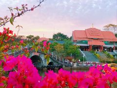 -大屏嶂森林公园