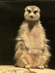 -酷嗒动物文化乐园(cutezoo西溪乐天城店)