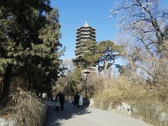 -博雅塔