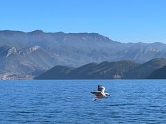 -丽江泸沽湖景区