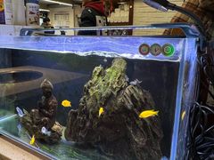 -水碾河刘老大串串香(水碾河路店)