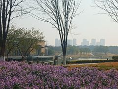 -白塘生态植物园