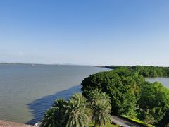 -大湾区中央湿地公园