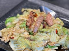 -浩运·海鲜青岛菜·海胆水饺(石老人店)
