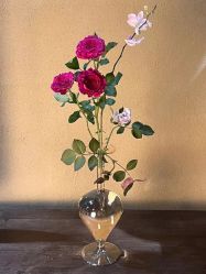 -美肤盾祛痘·问题肌头疗管理中心