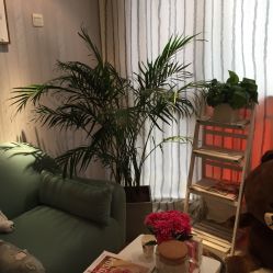 店内环境-IMEET美甲美睫工作室