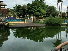 -抚仙湖万达文华酒店