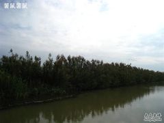 -大湾区中央湿地公园