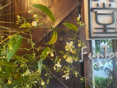 -久馆NineHouse