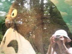 -三鹰之森吉卜力美术馆