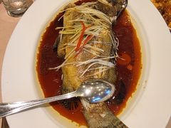 清蒸石斑-鹏天阁酒楼·海鲜(红旗店)