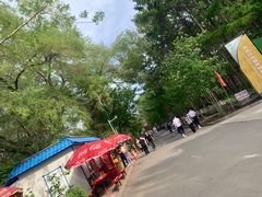 -黑龙江省森林植物园