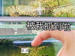 -双天海鲜楼 · 43年老字号