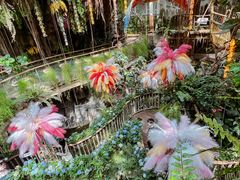 -正佳雨林生态植物园