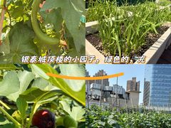 -成都银泰城