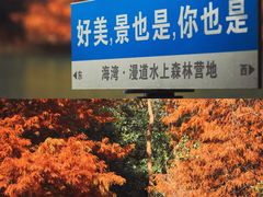 -上海海湾国家森林公园