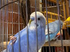 -蒲黄榆(地铁站)