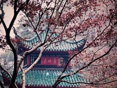 -岳麓山风景名胜区