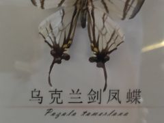 -蝴蝶泉公园