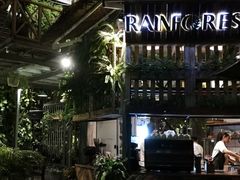 -Rainforest