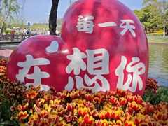 -上海鲜花港