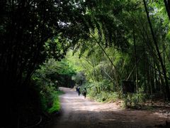 -东钱湖旅游度假区