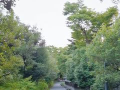 -京都御所