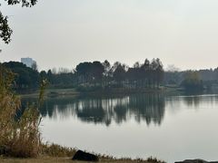 -巡塘古镇