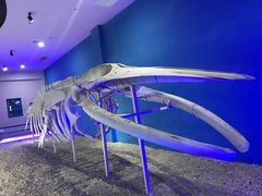 -福州罗源湾海洋世界旅游区