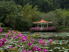-大屏嶂森林公园