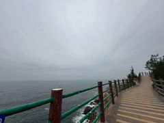 -广东惠东海龟国家级自然保护区