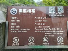 -都江堰中华大熊猫苑