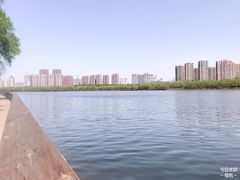 -长白岛森林公园