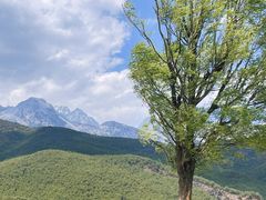 -玉湖村