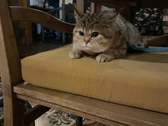 -BUND·FIVE外滩5号(天际店)