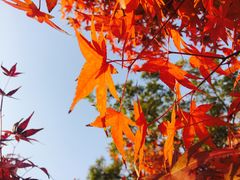 -映月湖中央公园