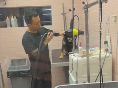 -FAELING PETS美天灵宠物(富力广场店)