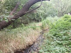 -白水寺森林公园