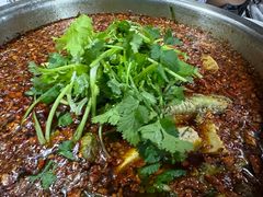 -陈胖子鱼庄(黄辣丁新津店)