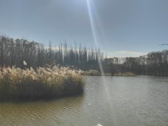 -东郊湿地公园