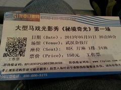 门票-武汉杂技厅