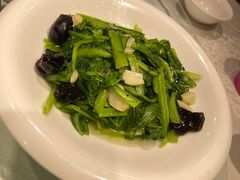 -陶然饺子城(奥体中路店)