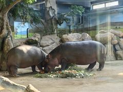 -大连森林动物园